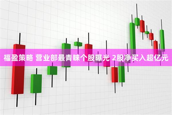 福盈策略 营业部最青睐个股曝光 2股净买入超亿元