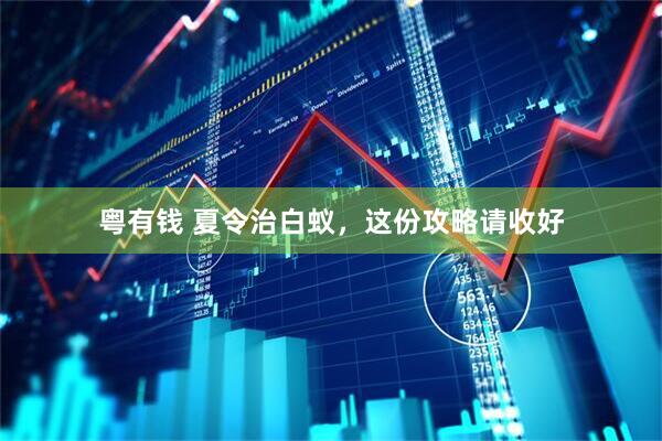 粤有钱 夏令治白蚁，这份攻略请收好