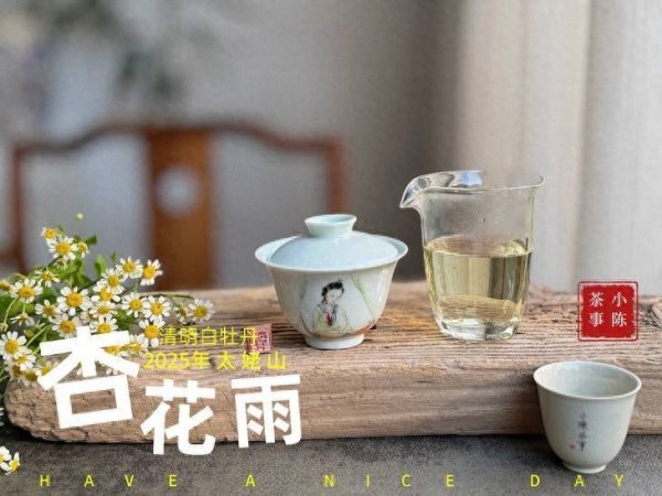牛操盘 一天24小时，什么时间喝茶好？看完这篇再也不会纠结了