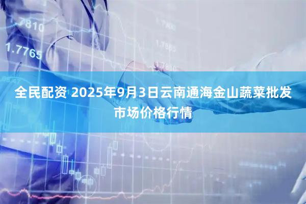 全民配资 2025年9月3日云南通海金山蔬菜批发市场价格行情