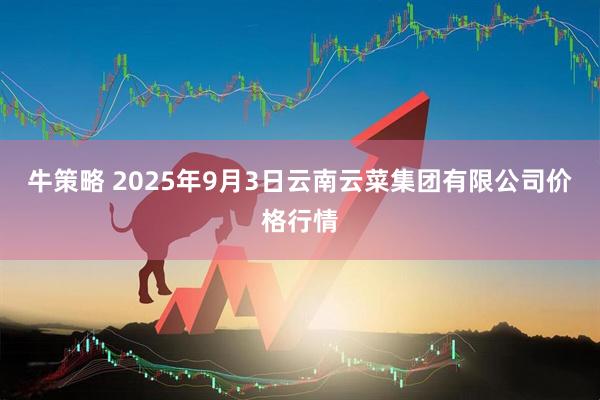 牛策略 2025年9月3日云南云菜集团有限公司价格行情