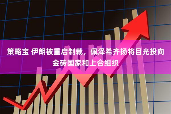 策略宝 伊朗被重启制裁，佩泽希齐扬将目光投向金砖国家和上合组织